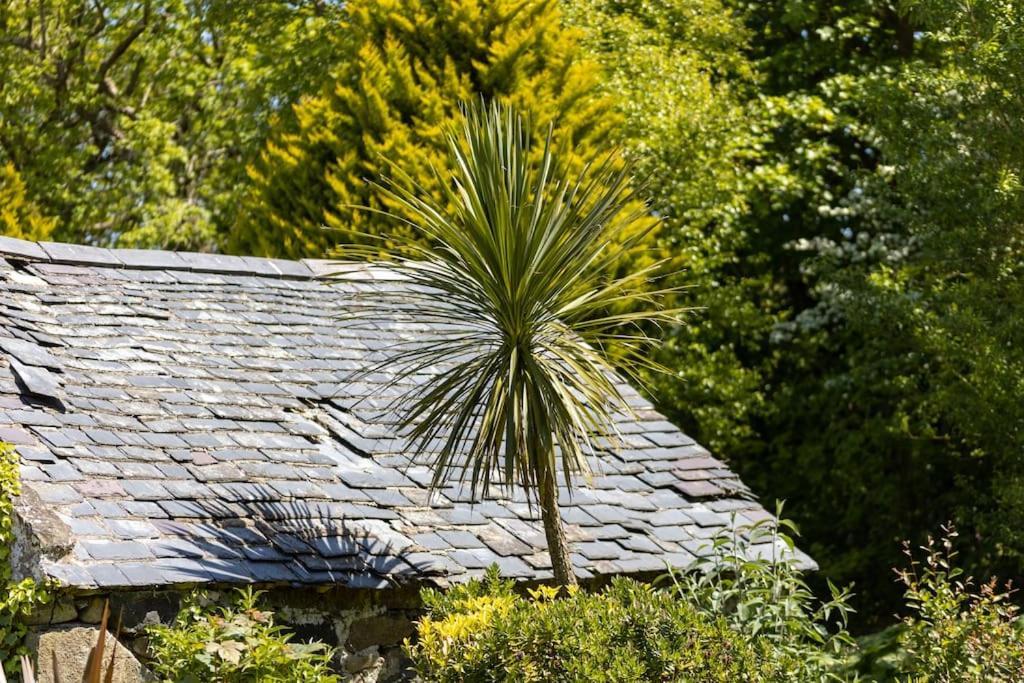 Plas Newydd With Swimming Pool, Fire Pit, And Log Fires Villa Rhiw Екстериор снимка